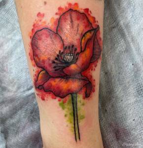 Poszukuję praktyk/pracy na pełny etat we Wrocławiu