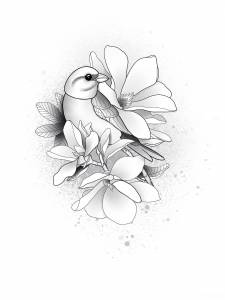 Szukam studia na praktykę