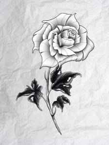 Szukam studia na praktykę