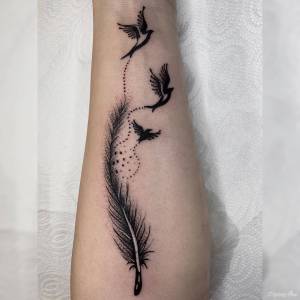 Szukam studia na praktykę