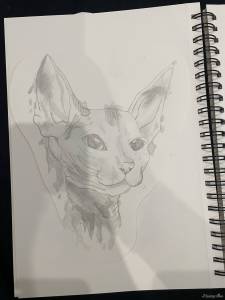 Cześć poszukuje studia które by... Szukam studia Krakow