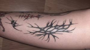 Cześć,Szukam praktyk w Poznańskim studio,... Szukam praktyk w Poznańskim studio