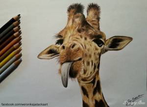 Podejmę staż w studio tatuażu, Warszawa