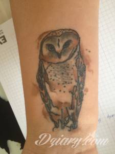 cool SOWA.. do poprawy :)