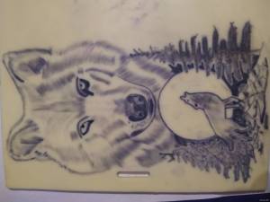 Proszę o ocenę i porady