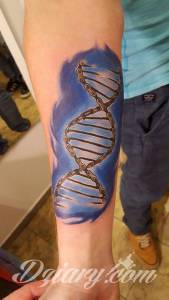 Nowy nabytek Łańcuch dna