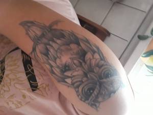 Co mogę dorobić do sowy... Zapytanie