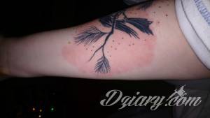 Cześć, tydzień temu w piątek 5.01... Potrzebuję pomocy - pierwszy tatuaż