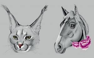 Pierwsza maszynka do ćwiczeń