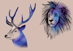 Pierwsza maszynka do ćwiczeń