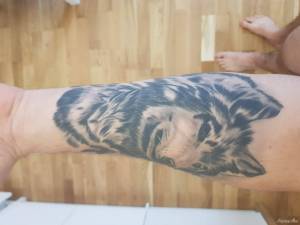 Szukam pomyslu na polaczenie