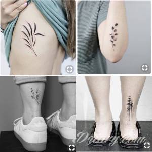 Motywy roślinne Trójmiasto 