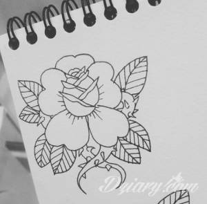 Praktykantka szuka studia we Wrocławiu