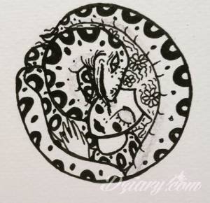 Praktykantka szuka studia we Wrocławiu