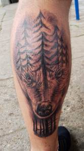 Siema pomożecie coś. Chciałbym te... Co z ty zrobić!!! WILK Z LASU