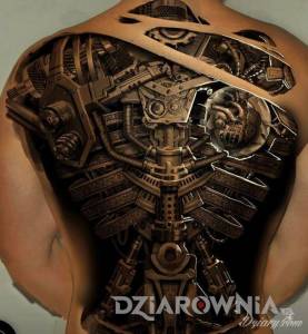 Biomechanika - polecane studio