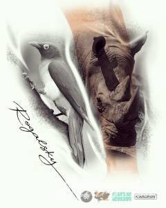 Siemaneczko mam wolne terminy i... Rogalsky czarno-biały realizm ;)Kraków studio Rock'n'Roll