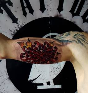 szukam pracy w studio jako tatuazysta.