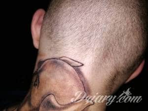 Witajcie moi drodzy! Zwracam się...  Cover up