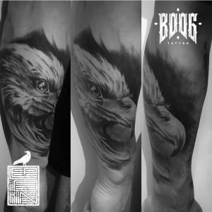 Dwa Tatuatora szuka pracy