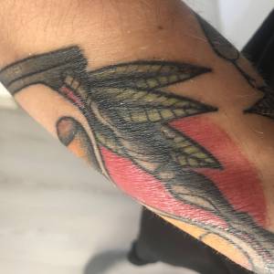 Problem z gojeniem czy opanowane?