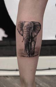 Witam szukam pracy jako tatuazysta... SZUKAM PRACY JAKO TATUAZYSTA