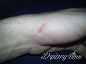 Mały tatuaż - kilka pytań