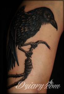 Siema, To mój pierwszy post... Pytanie o kruka