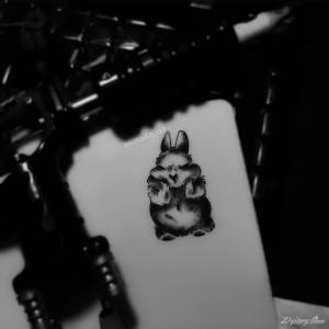 Praktyki Szukam Wroclaw