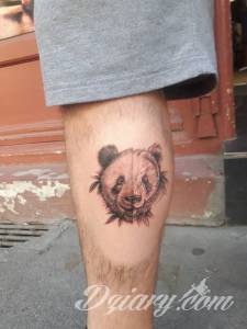 Witajcie dziś wreszcie postanowiłem sobie... Panda nowy tatuaż i parę pytań