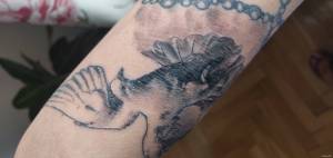 Co tu jest nie tak w gojeniu?