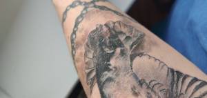 Co tu jest nie tak w gojeniu?