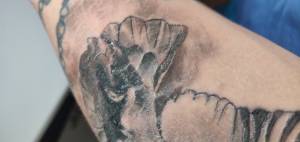 Co tu jest nie tak w gojeniu?