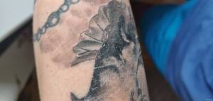 Co tu jest nie tak w gojeniu?