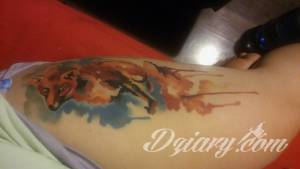 Pomocy! Może ktoś doradzi.