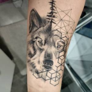 Witam, od dłuższego czasu szukam... Kolejny pomysl