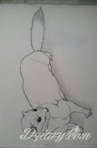 Witam, Szukam studia tatuażu, który... poszukuję praktyki, woj. zachodniopomorskie