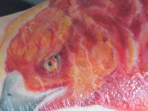 Witam :) Tatuaż robiłem w... Skóra pękła ale się nie łuszczy