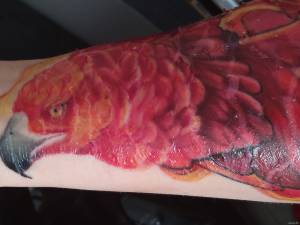 Witam :) Tatuaż robiłem w... Skóra pękła ale się nie łuszczy