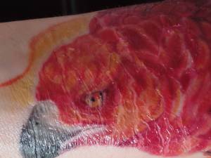 Witam :) Tatuaż robiłem w... Skóra pękła ale się nie łuszczy