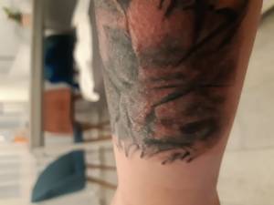 Gojenie się tatuażu.