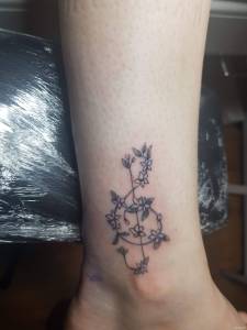 Witam, wlanie rzucam obecna prace.... Szukam praktyk