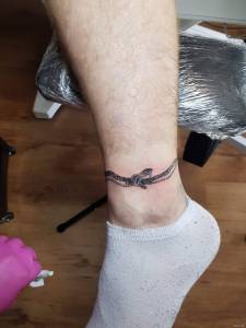 Witam, wlanie rzucam obecna prace.... Szukam praktyk