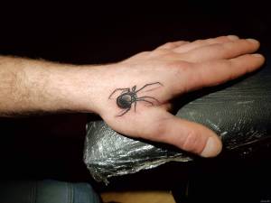 Witam, wlanie rzucam obecna prace.... Szukam praktyk