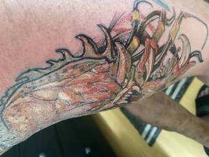 Witam,z gory nadmienie ,ze caly... Problem  z gojeniem