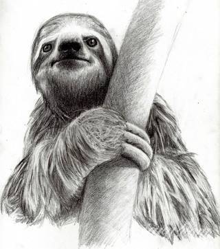 Tatuaże 3D intrygujące oko i prowadzące do swoistej gry ze zmysłami. Wzory, które na skórze łączą realizm i abstrakcję; graniczą z animacją i zachwycają doskonałością odwzorowania. Trójmiarowe tatuaże zadziwiają drobiazgowością kształtów i nadzwyczajną precyzją realizacji.