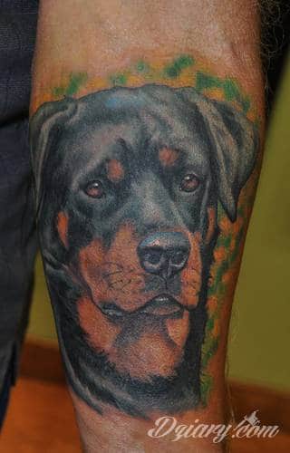 Tatuaże 3D intrygujące oko i prowadzące do swoistej gry ze zmysłami. Wzory, które na skórze łączą realizm i abstrakcję; graniczą z animacją i zachwycają doskonałością odwzorowania. Trójmiarowe tatuaże zadziwiają drobiazgowością kształtów i nadzwyczajną precyzją realizacji.