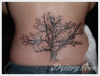 Tatuaże 3D intrygujące oko i prowadzące do swoistej gry ze zmysłami. Wzory, które na skórze łączą realizm i abstrakcję; graniczą z animacją i zachwycają doskonałością odwzorowania. Trójmiarowe tatuaże zadziwiają drobiazgowością kształtów i nadzwyczajną precyzją realizacji.