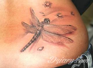 Tatuaże 3D intrygujące oko i prowadzące do swoistej gry ze zmysłami. Wzory, które na skórze łączą realizm i abstrakcję; graniczą z animacją i zachwycają doskonałością odwzorowania. Trójmiarowe tatuaże zadziwiają drobiazgowością kształtów i nadzwyczajną precyzją realizacji.