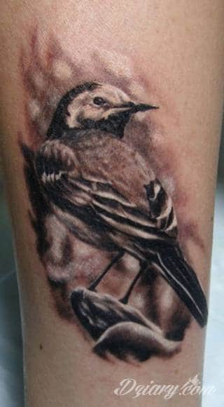 Tatuaże 3D intrygujące oko i prowadzące do swoistej gry ze zmysłami. Wzory, które na skórze łączą realizm i abstrakcję; graniczą z animacją i zachwycają doskonałością odwzorowania. Trójmiarowe tatuaże zadziwiają drobiazgowością kształtów i nadzwyczajną precyzją realizacji.